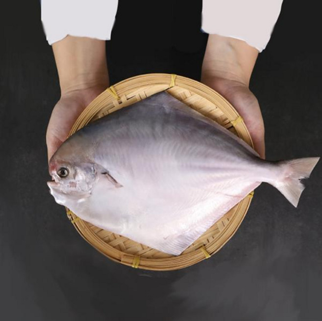 남도삼대농수산 국내산 반건조 병어3미(미당150~200g내외20cm내외), 단품, 단품