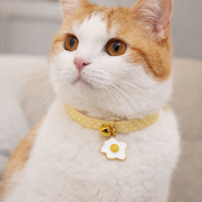 도치코 고양이방울 목걸이 고양이인식표 애견인식표 애견목걸이, 옐로우후라이, 1개