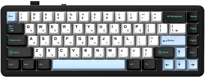 AULA 유무선 펀키스독거미 한글 기계식 텐키리스 키보드, 스카이 블랙, F65, LEOBOG 세이야축