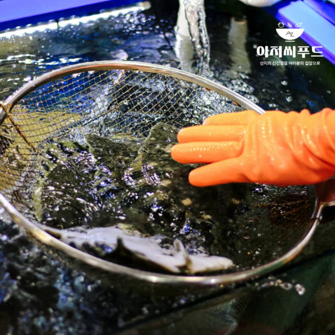 [제철특가] 당일손질 국내산 강도다리 회 세꼬시 250g 산지직송, 4세트, 순살 필렛 250g