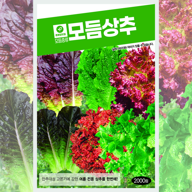 온세상 모듬상추 2000립, 1개