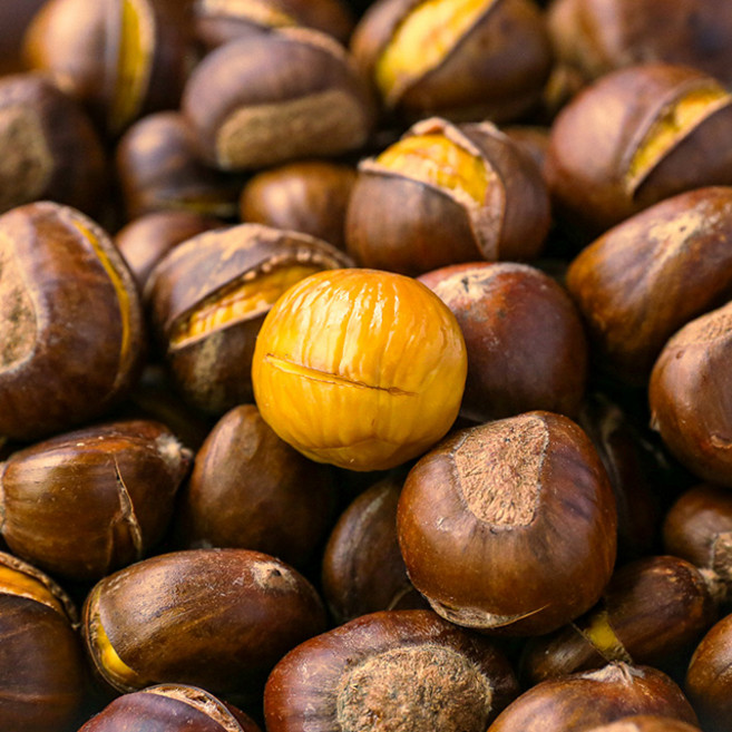 맛꾼 당도높은 칼집 약단밤 생율 에어프라이어용 칼집밤, 1개, 약단밤 2kg