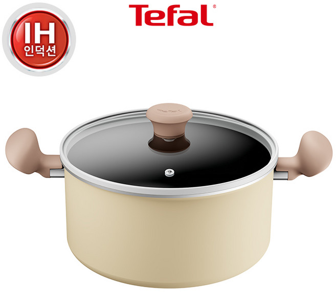 테팔 인덕션 티타늄 데이지 양수냄비, 24cm, BEIGE (베이지), 1개