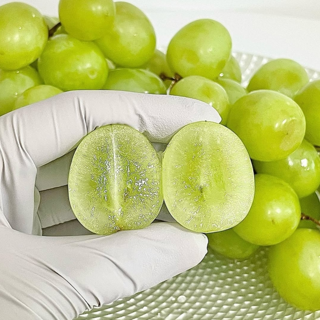 한정특가 당도보장 씨없는 애플청포도 오톰크리스피, 1박스, 3kg