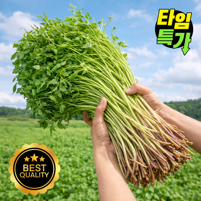 [재구매1위] 청도 미나리 특품 청도직송, 500g, 1개