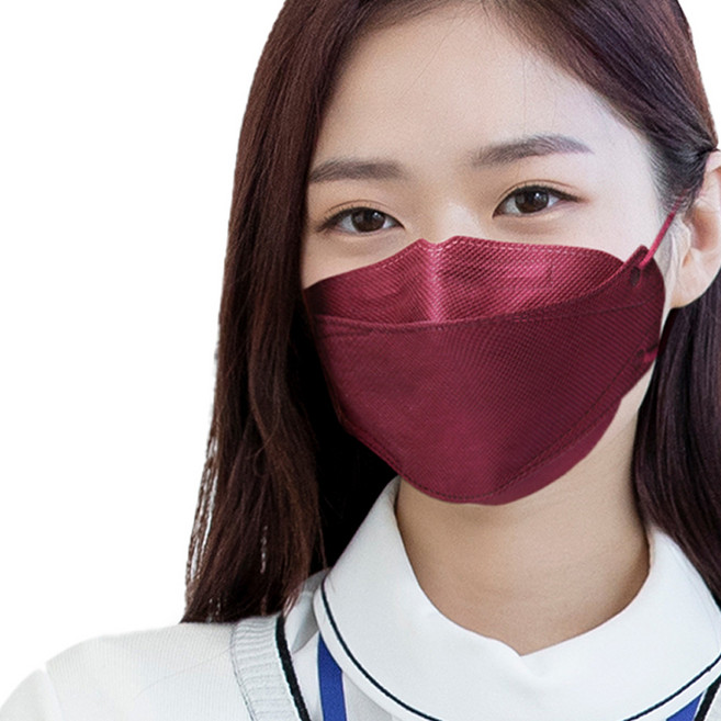 에어에이드 비말차단 마스크 3D접이식 대형 성인용, 5개입, 10개, 와인