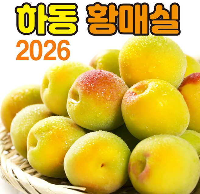산지직송 경남 하동 황매실 생과 매실청 담금주 엑기스 5kg 10kg, 1개, 5kg (황매실 M)