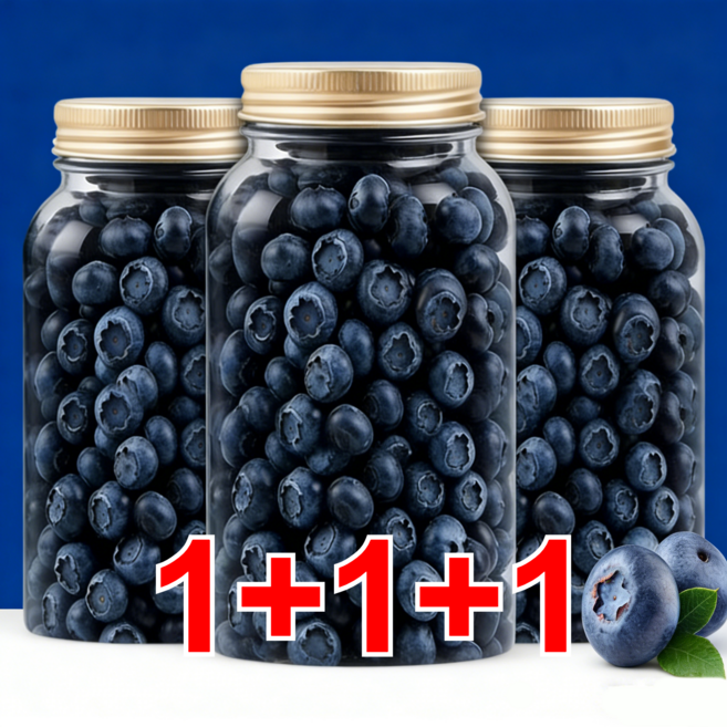 1+1+1 무설탕 건조블루베리 100% 프리미엄 블루베리 건조과일 2kg 건과류, 100g*3건