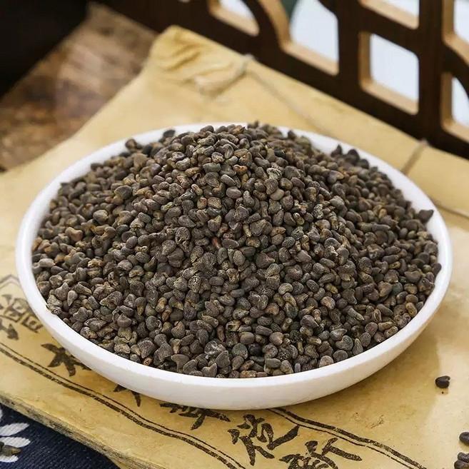 동규자 야생 아욱 씨앗 한방재 JK7, 500g, 1개