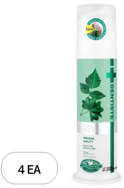 덴티스테 뉴 플러스화이트 펌프형 치약, 170g, 4개