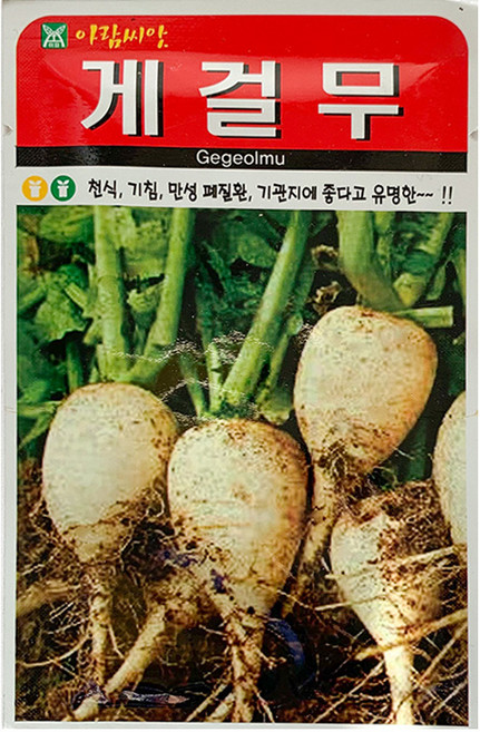 향채 씨앗 택1 고수/공심채/루꼴라/방아/강화순무/고들빼기/알타리/엇갈이/열무 등, 1개