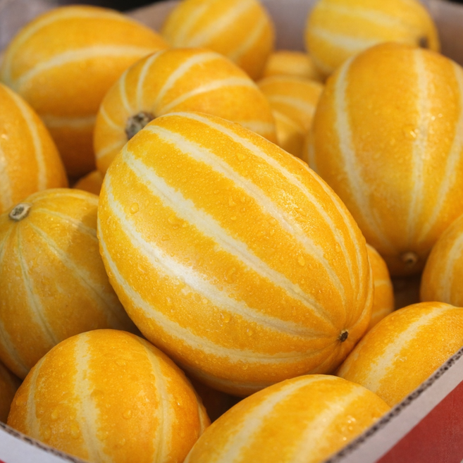 산지직송 성주 꿀참외 고당도 가정용, 1박스, 소과 3kg