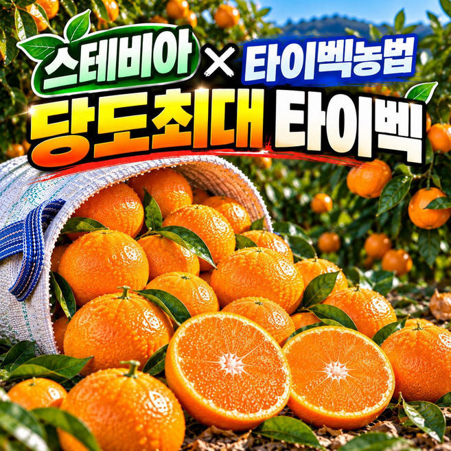 [평균 12-14Brix] 초고당도 서귀포 타이벡 감귤 로얄과, 1박스, 3kg 로얄과(2S~M)