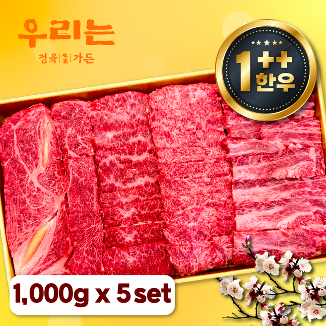 우리는정육가든 1++ 한우 등심 갈비살 업진안살 앞치마살 특수부위 소고기 모듬 세트 구이용 1000g [ 감사카드증정 ], 5개