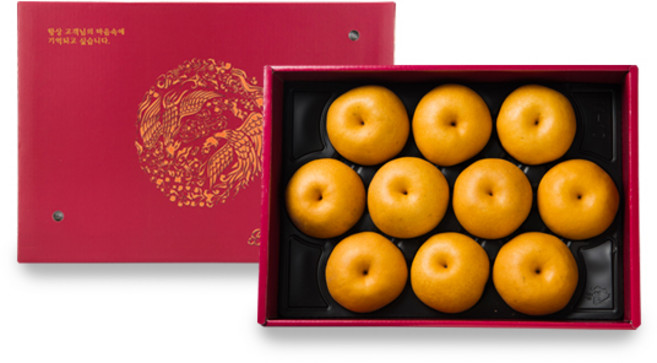 맛과 품질을 보장한 산지직송선물세트 나주봉황배, 1개