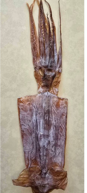 壹魷味境 碳烤魷魚整尾, 1個, g