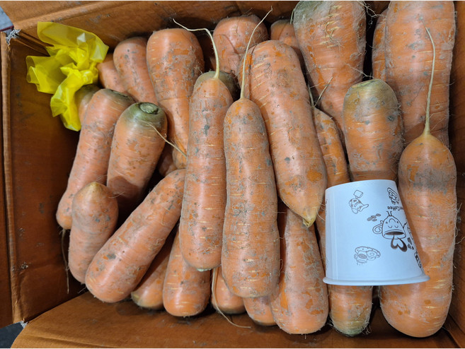 길룡이네 제주 구좌 꿀 당근 3 5 10 kg 주스 쥬스용 제주도 흙당근, (중) 3kg, 제주 햇 당근, 1개