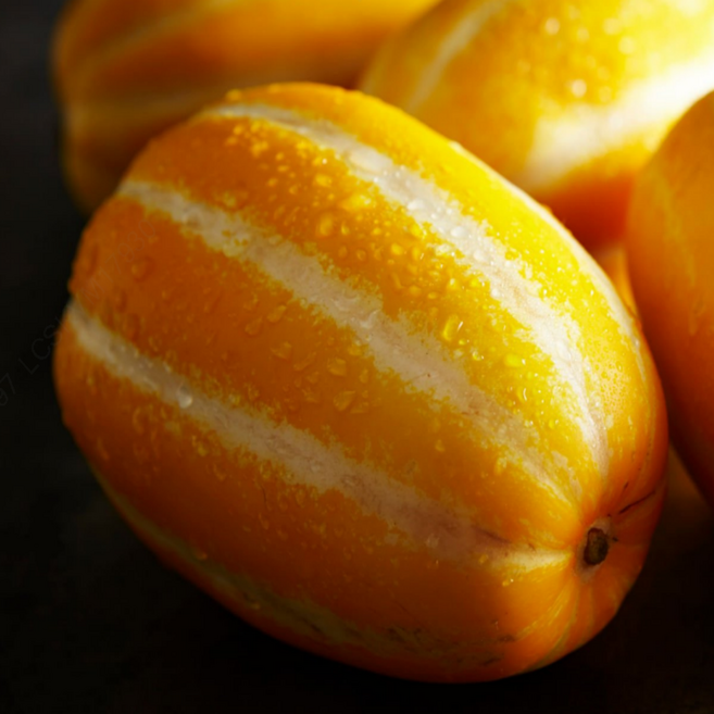 [신선한줌] 산지직송 당일수확 가정용 성주참외, 1박스, 3kg(중과)