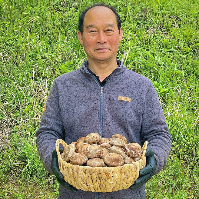 농장스 국내산 무농약 생 표고버섯, 1개, 실속형 1kg