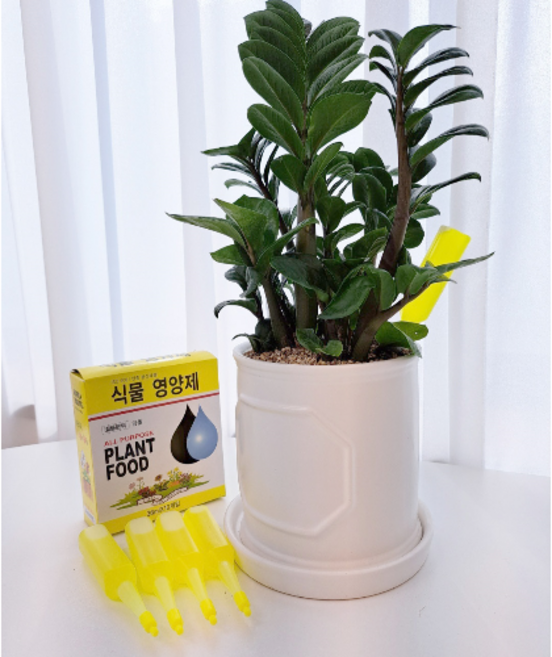 린다씨컴퍼니 10p 식물영양제 화초영양제 수목영양제 난 원예용, 10개, 36ml