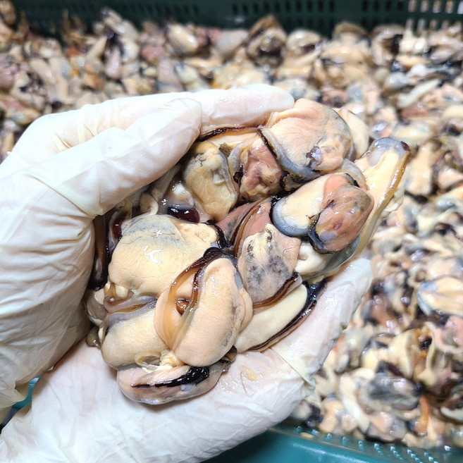 [당일손질] 국산 생물 깐 홍합살, 2개, 300g(손질후)