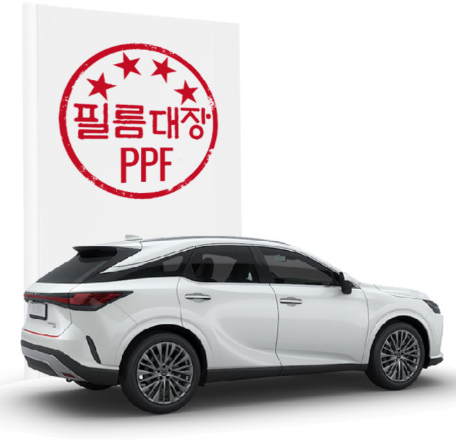 필름대장 렉서스 RX 5세대 PPF필름 트렁크리드, 도어컵