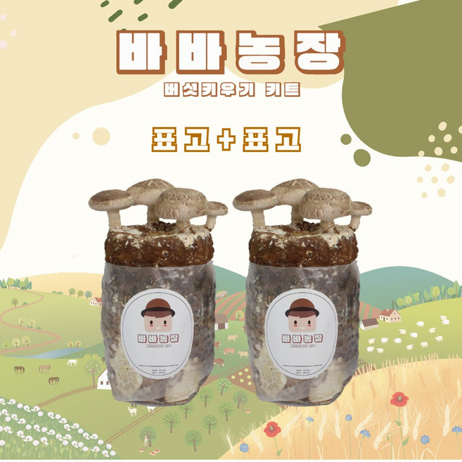 바바농장 1+1 국내산 버섯 키우기 키트 고기 느타리 황금팽이 표고버섯 노루궁뎅이 배지 베지 재배기 집에서할수있는취미, 1세트, 표고+표고