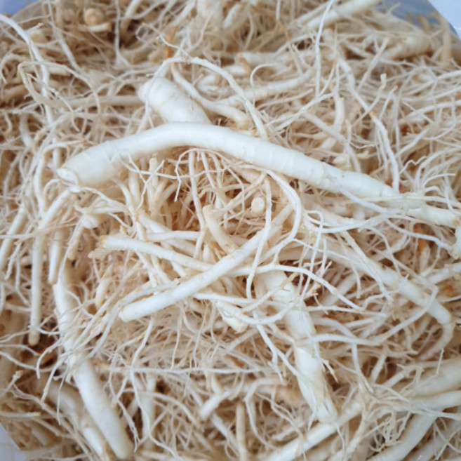 미삼 인삼잔뿌리 인삼뿌리무침 세척 수삼 750g, (세척인삼)미삼1채, 1개