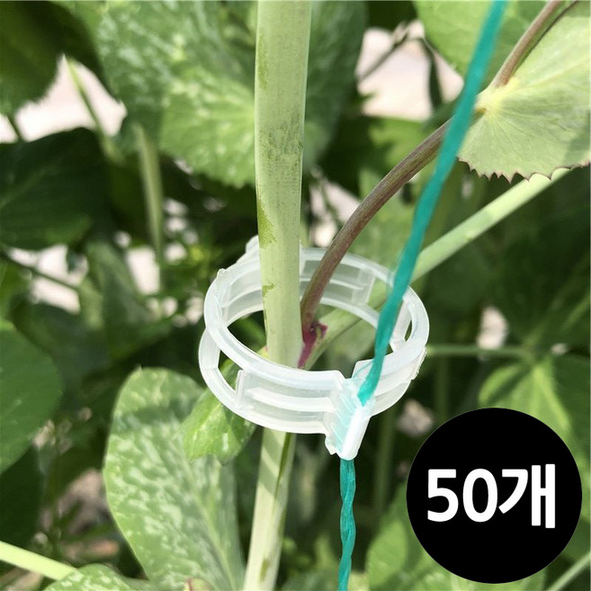 본라이프 식물 지지대 고정클립 넝쿨 줄기고정 클립 식물 화분 벽고정 나무줄기 화초 가지 고정 지지대 타이클립 식물고정끈 식물재배 토마토클립 작물 줄기고정타이 식물가지 고정 지지대, 50개