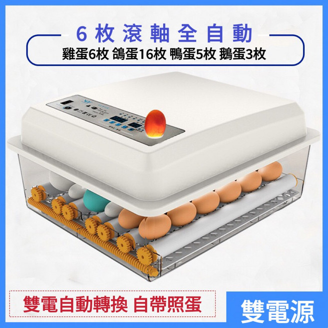 110V全自動孵化機 台灣12h出貨 小型家用雞鴨鵝鴿子雙電源孵蛋器, 1個, 6枚【110V+12V雙電】送大禮包