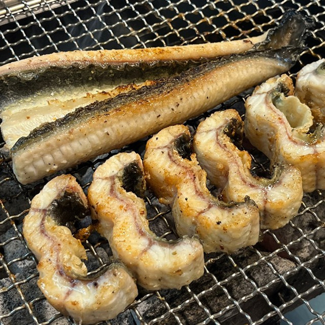 자포니카 장어 국내산 고창 민물장어 1kg 손질 후 700g 대왕 장어, 국내산 민물장어, 대왕 자포니카 특 1미 8~900g, 1세트, 550g 내외