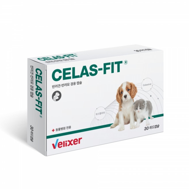 벨릭서 영양제 셀라스핏 30 하드캡슐-항암 보조제 당뇨 비만 관리