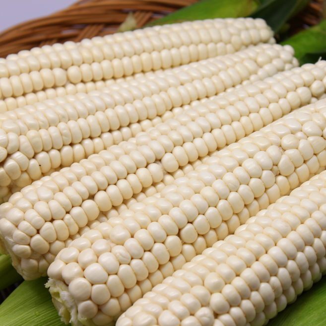 [Non-GMO]괴산대학 냉동 생옥수수 햇 찰옥수수, 1박스, 1.7kg 내외(9입/15cm~18cm)