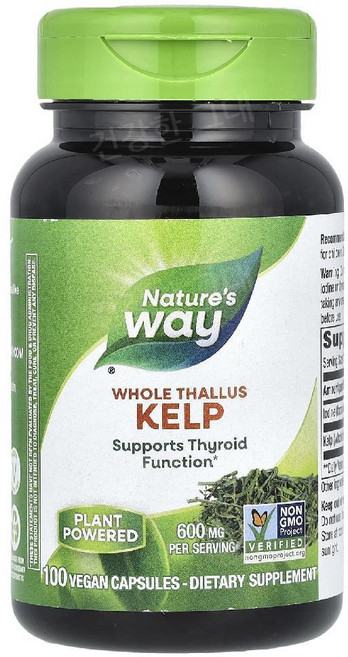 네이처스웨이 켈프 다시마추출물 600mg 100캡슐 해조류 요오드 요드 Kelp, 100정, 1개