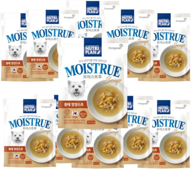 동원뉴트리플랜 강아지 모이스트루 황태영양스프 습식사료, 황태, 60g, 12개