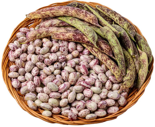 전라도청년 프레시 26년 햇 국산 껍질 호랑이콩 밤콩, 2kg, 1개