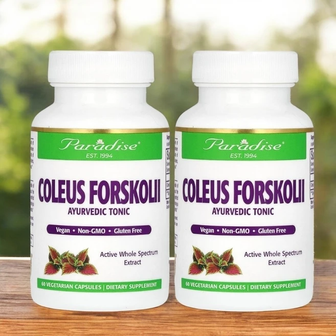 파라다이스허브 콜레우스 포스콜리 베지캡슐 60개, 60정, 2개 - 쿠팡