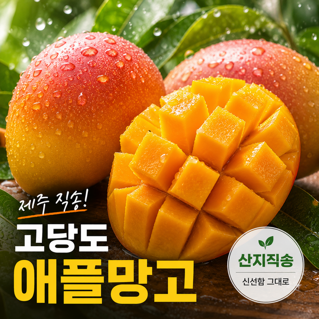 제주 애플망고 중품 고당도 3KG 5-6과 7-8과 9-10과 주문후 산지 수확 직송, 7개