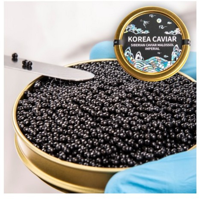 최고급 지리산 코리아 캐비어 국내산 함양 철갑상어알, 30g, 1개