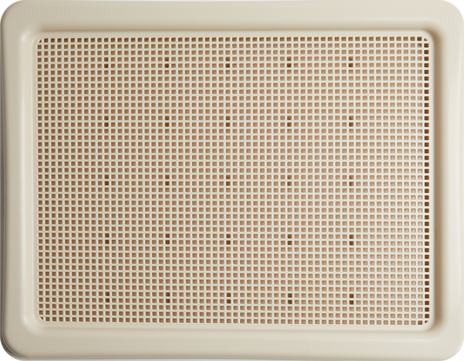 페페츠 강아지 배변판 대형, 1개, 아이보리