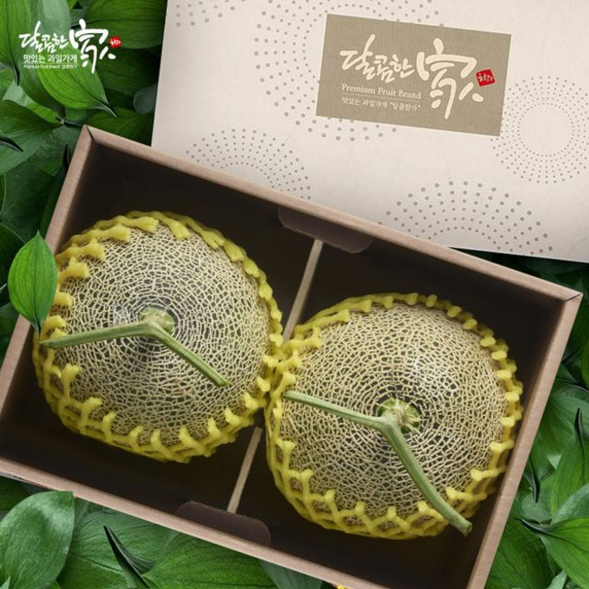 [달콤한가]고당도 머스크 메론세트 3.2kg/2수, 1개