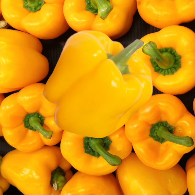 갓 수확한 파프리카 빨강 노랑, 1박스, 노랑 1kg