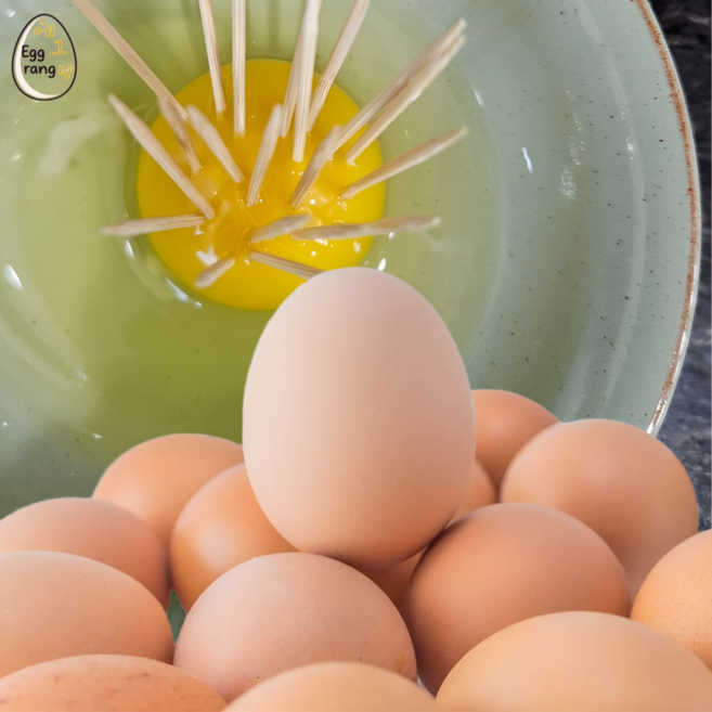 에그랑 동물복지유정란, 1개, 60구