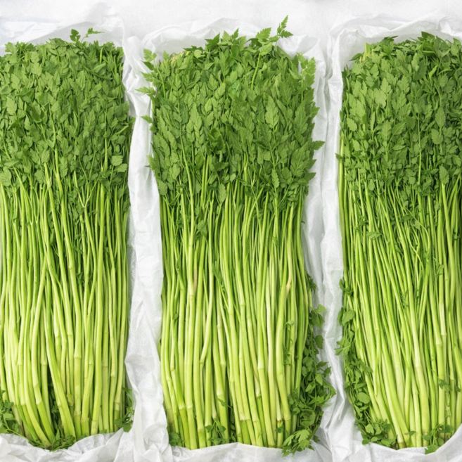 [하루딱100박스] 농협 특품 국내산 산지직송 손질 미나리, 1박스, 1kg