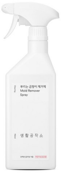 생활공작소 뿌리는 곰팡이 제거제, 750ml, 10개