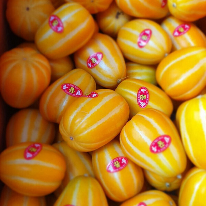 고당도 성주 꿀 참외 실중량 3kg 혼합 랜덤과, 1개