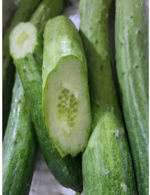 부드러운 맛 백오이, 1개, 2kg