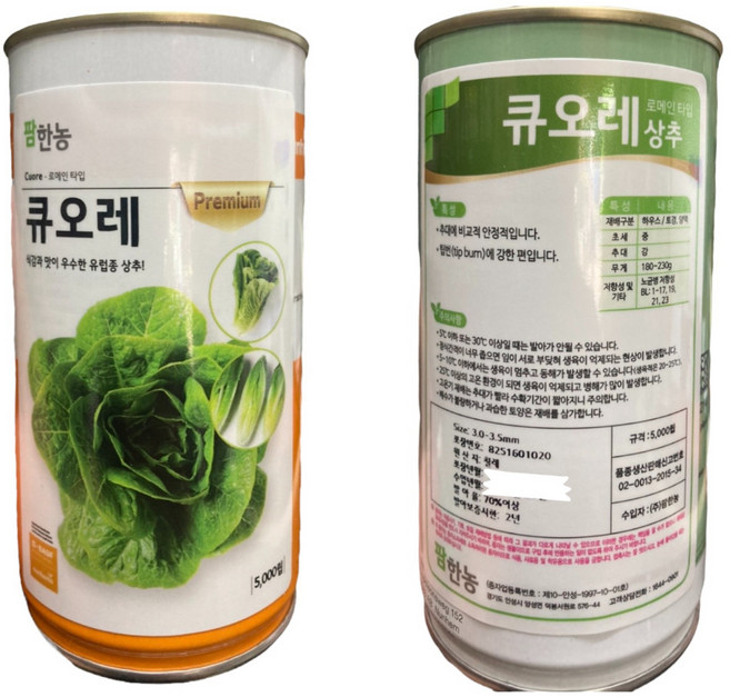 아시아종묘 씨앗 양파 뉴쯔리마루 5000립 펠렛, 1개