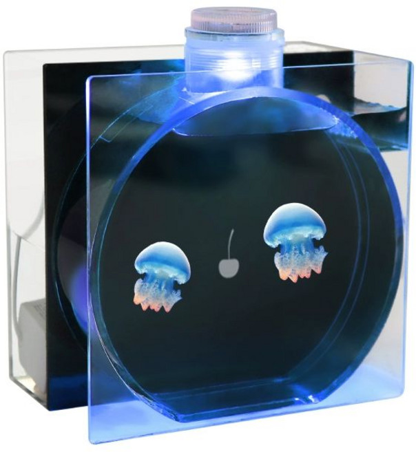애완 해파리 키우기 LED 세트 관상용 테이블펫 해파리수조 관상어, 1개, 블랙 0.5L