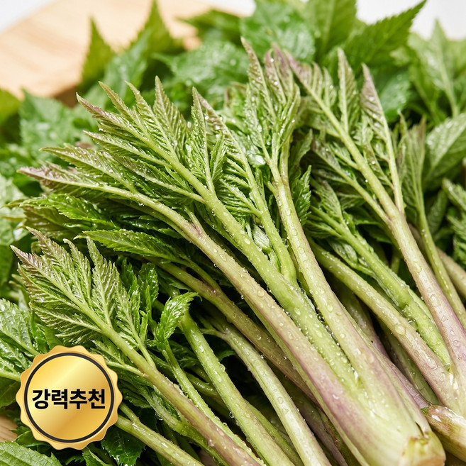 [첫수확출고시작] 강원도 눈개승마 삼나물 고기나물, 2kg, 1개